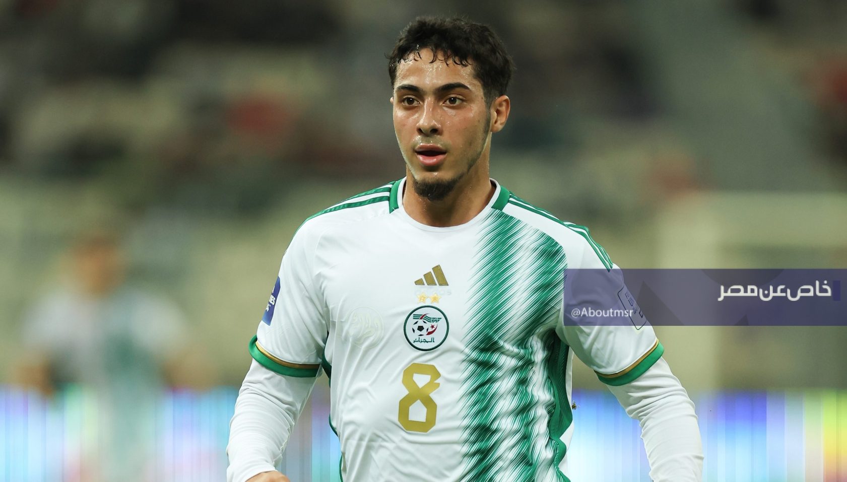 5 أندية تتصارع على نجم الجزائر في الميركاتو الصيفي