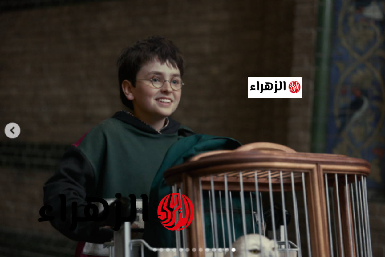 harry potter hbo max اعلان مسلسل هاري بوتر الجديد يثير الجدل.. موعد العرض وأبطال النسخة التلفزيونية