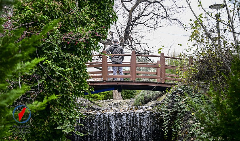 أجواء باردة ليلاً مع فرص زخات متفرقة