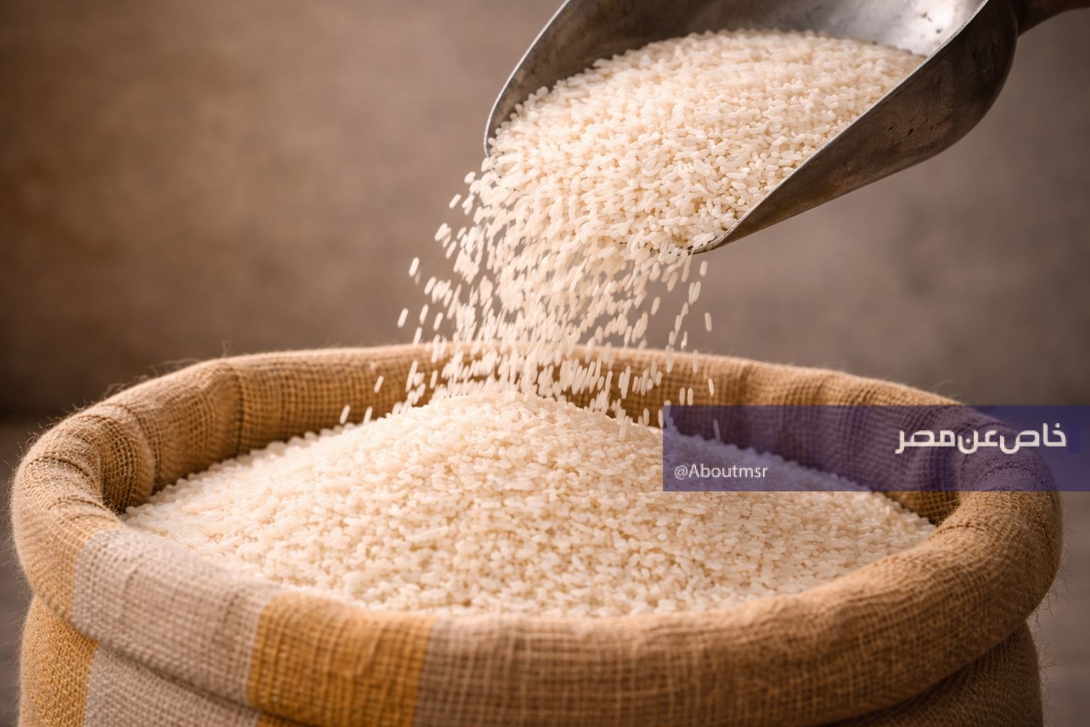 أسعار الأرز اليوم الجمعة 27 مارس 2026.. الطن يصل إلى 25 ألف جنيه