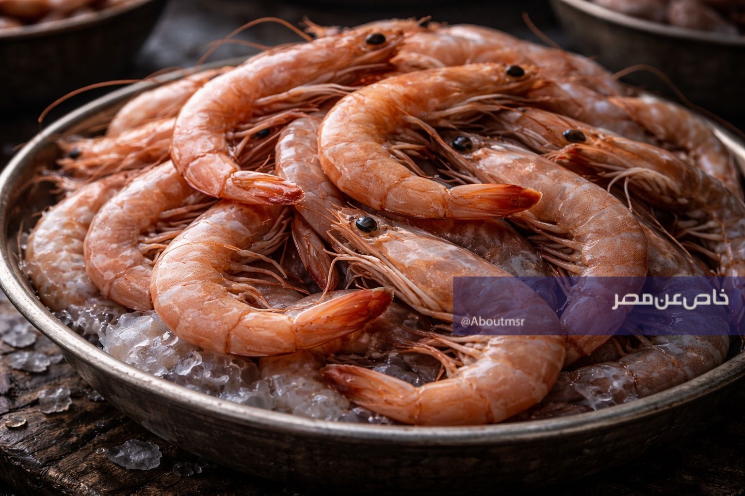 أسعار الأسماك اليوم الجمعة 27 مارس 2026.. مفاجأة سارة لعشاق الجمبري