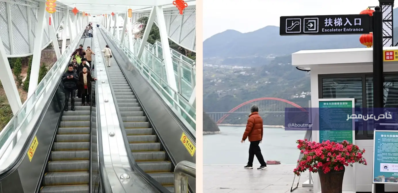 أطول نظام سلم كهربائي خارجي في العالم.. الصين تدشن سلالم الآلهة المتحركة