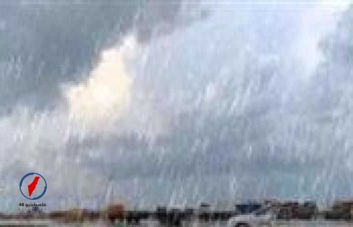 أمطار تضرب الإسكندرية والوجه البحري وتحذير من تغير الطقس بالسواحل الشمالية
