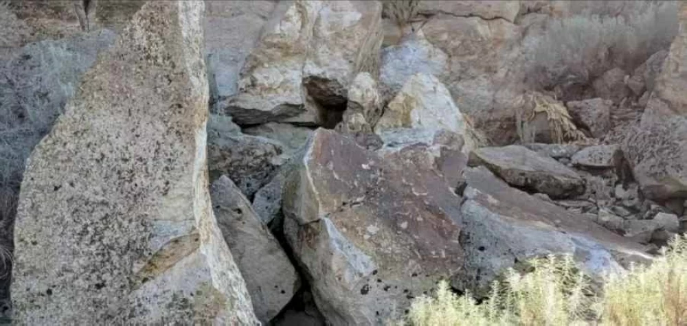 أين الأرنب المخفي في هذه الصورة؟.. اللغز يحدد ما إذا كان تركيزك جيداً أم لا