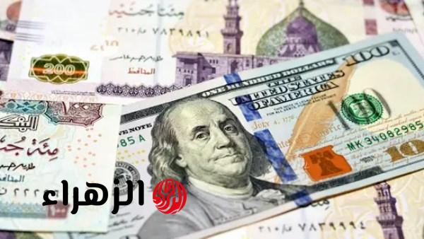 البنك المركزي يعلن استقرار سعر الدولار مقابل الجنيه اليوم