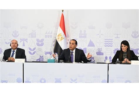 الحكومة تطمئن المواطنين بشأن توافر السلع الغذائية لاحتواء أزمة الطماطم