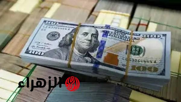 الدولار يواصل الاستقرار أمام الجنيه المصري في البنوك اليوم