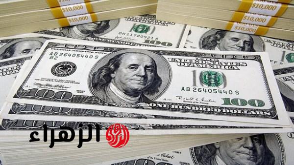 الدولار يواصل الاستقرار أمام الجنيه اليوم الإثنين في البنوك المصرية