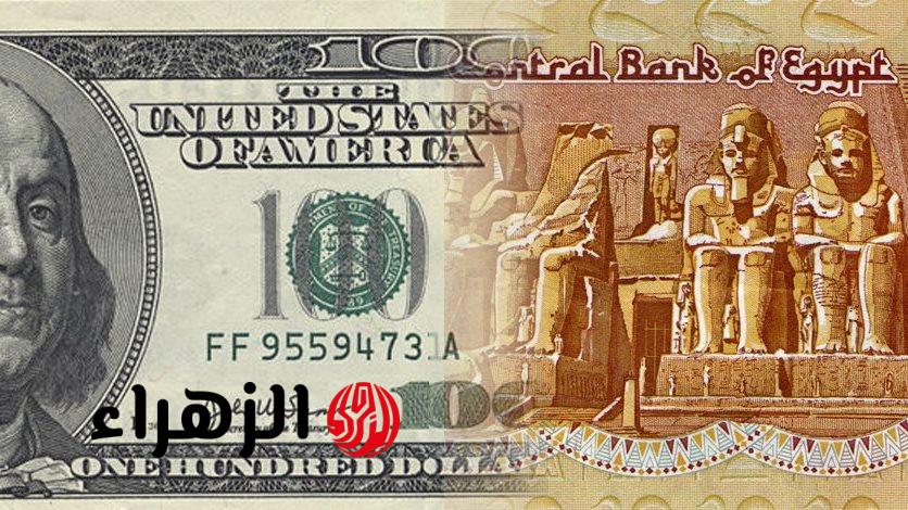 الدولار يواصل القفز ويسجل أعلى مستوى تاريخي في البنوك اليوم