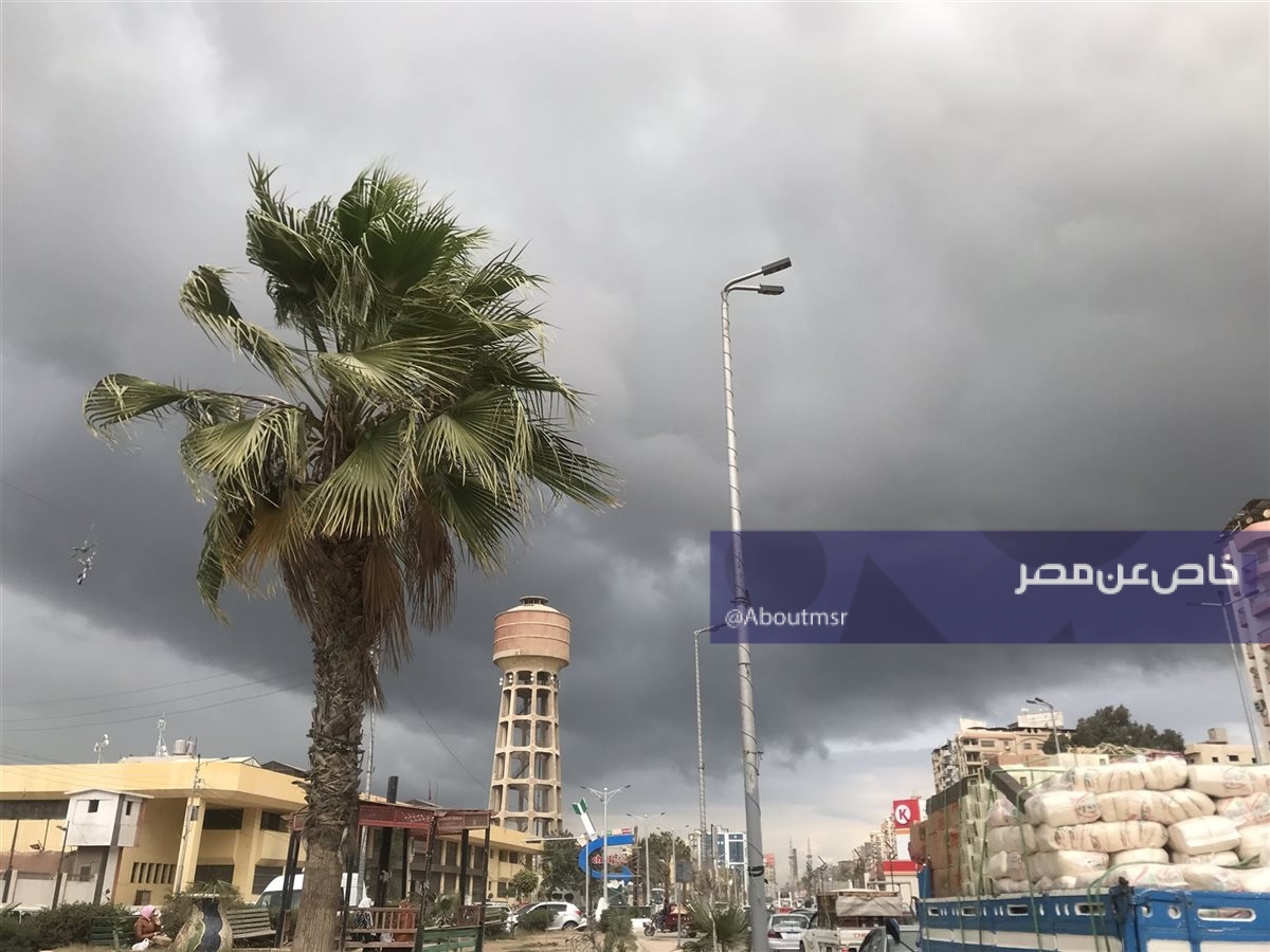 الطقس ودرجات الحرارة في القاهرة والجيزة والإسكندرية والصعيد اليوم الاثنين.. أمطار تصل للسيول