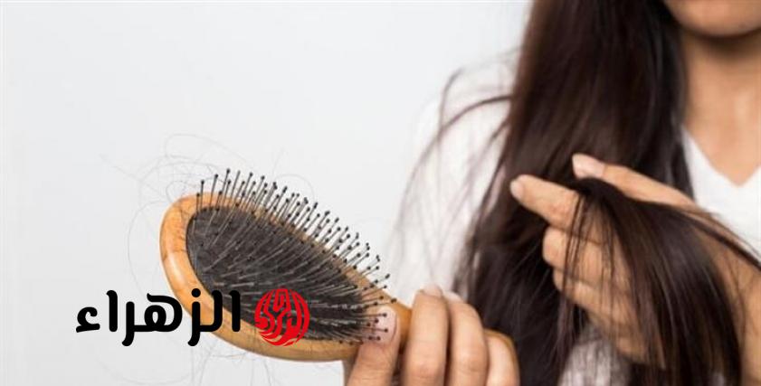 العناية المثالية بالشعر دليلك الكامل لنسيان التساقط والشعر الجاف والهيشان