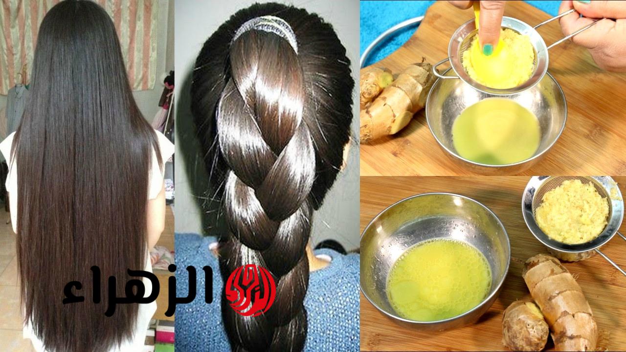 الكوسا وجل الصبار أقوى بروتين طبيعي لتنعيم وفرد الشعر الخشن والمجعد لشعر صحي ولامع كالحرير