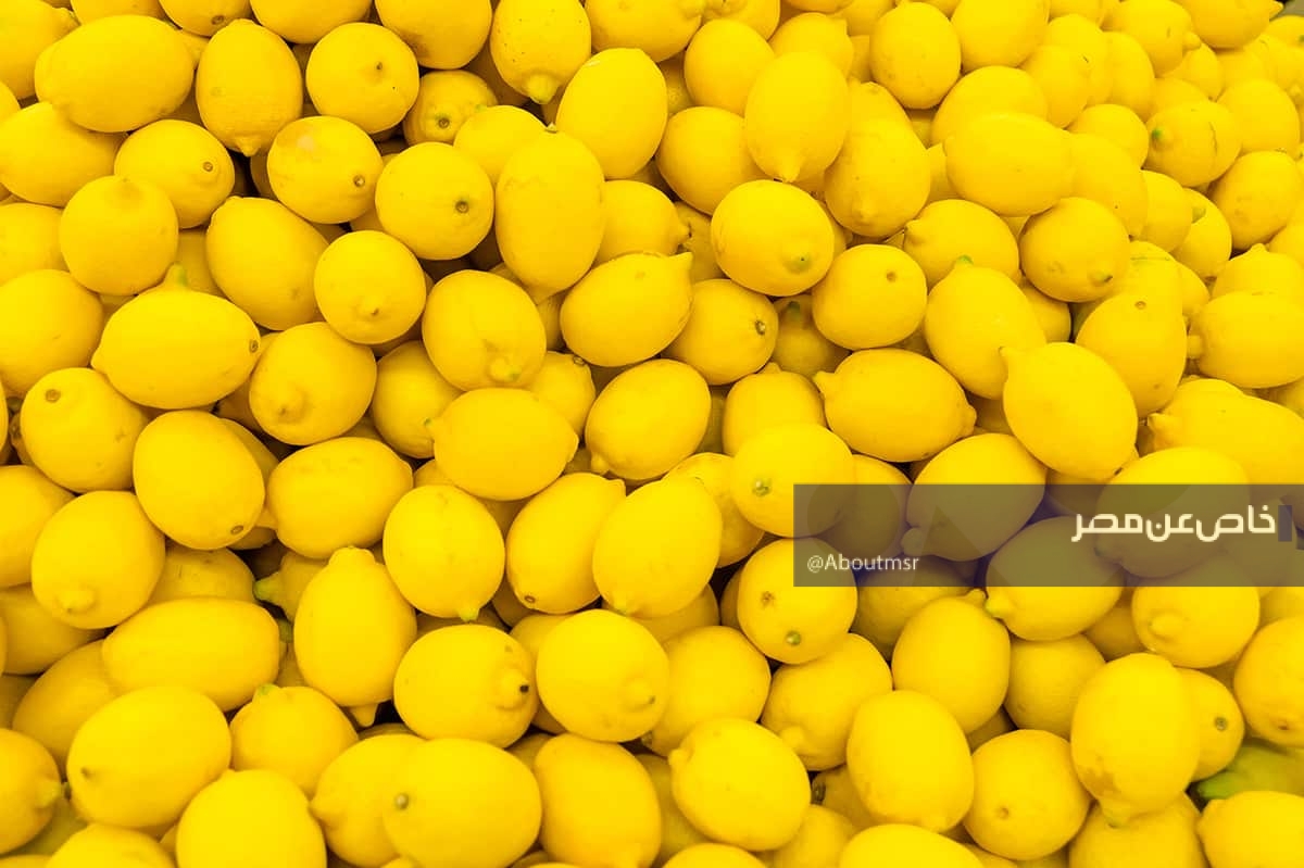 الليمون المصري يسيطر.. كيف نجح المحصول في الهيمنة على أسواق أمريكا الجنوبية؟