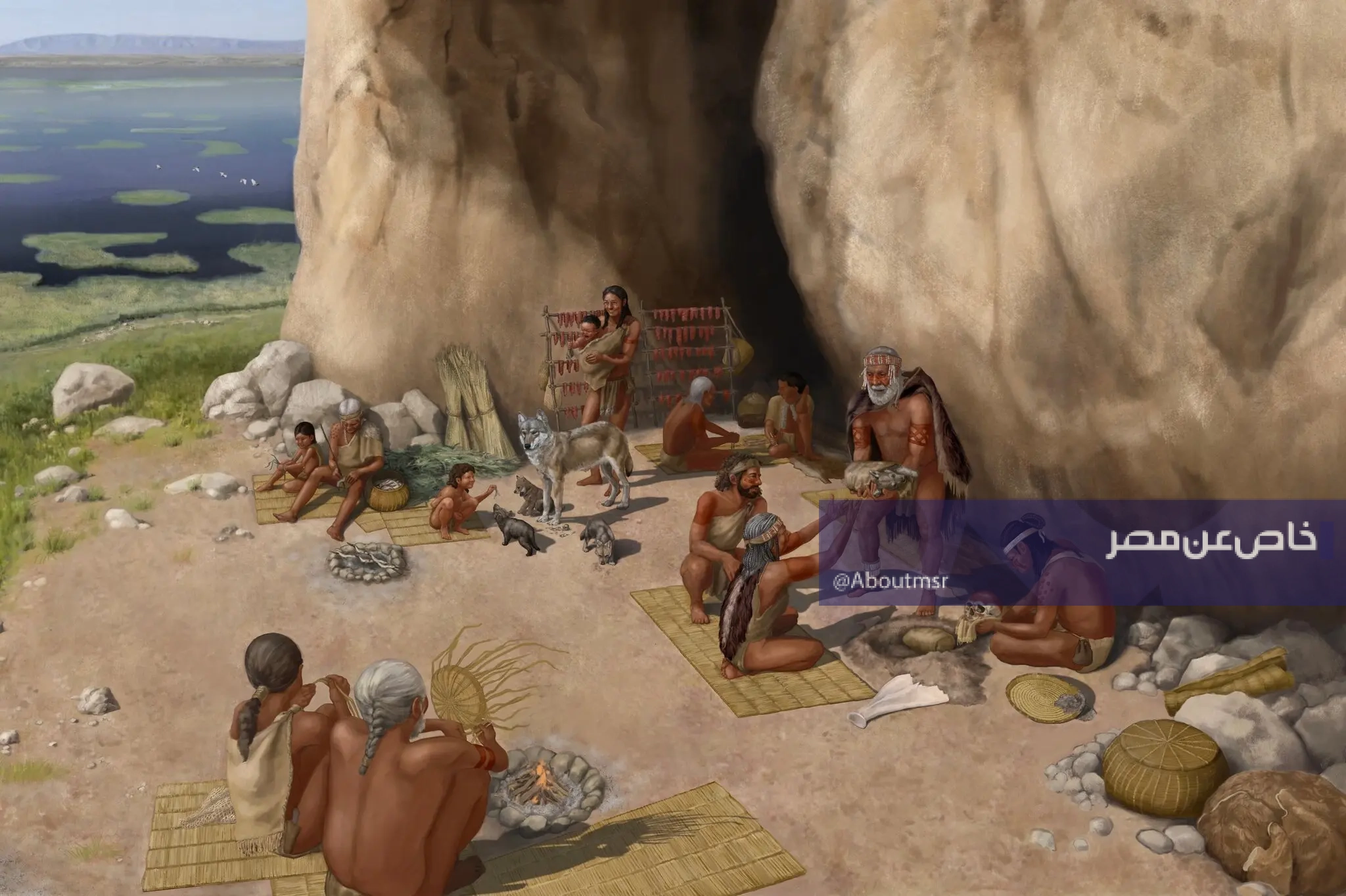 بحث جيني جديد يُعيد تشكيل أصول الكلاب.. البشر عرفوها منذ 15800 عام