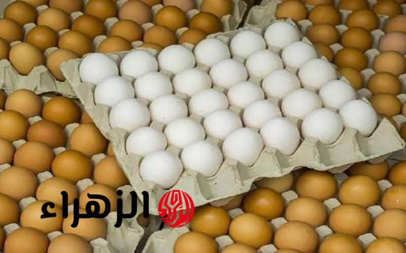 بعد قرار الحكومة.. مفاجأة للمواطنين بشأن أسعار البيض وهذا ثمن الكرتونة الآن
