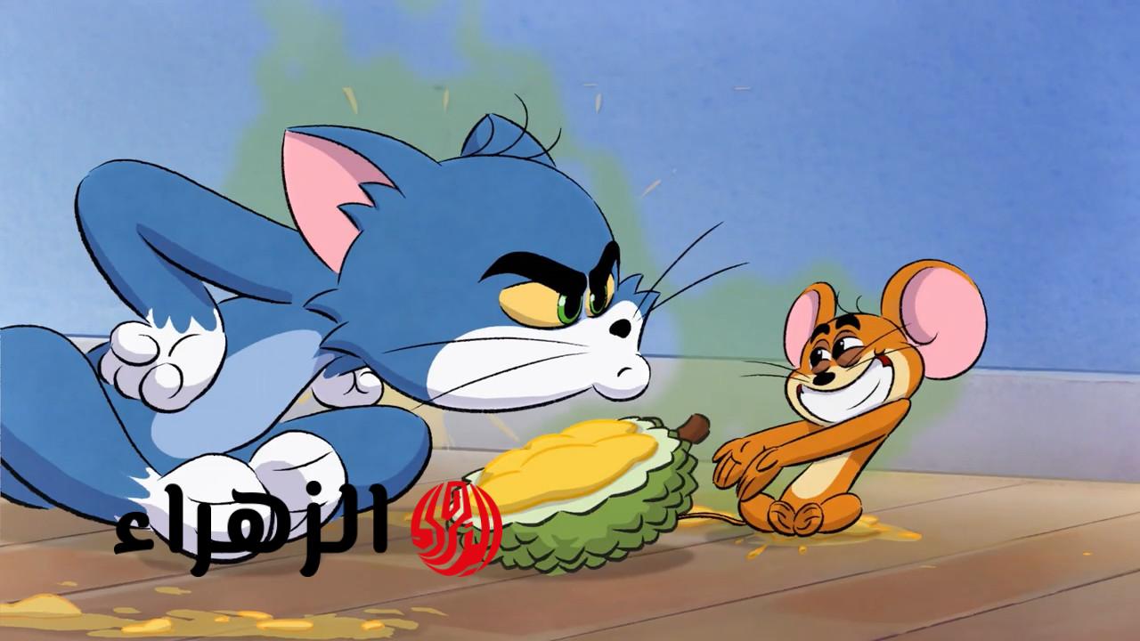 بلسمة واحدة.. تردد قناة توم وجيري الجديد 2026 لمشاهدة أمتع الأفلام الكرتونية HD طول اليوم
