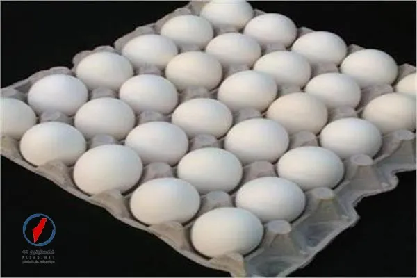 تحديث أسعار البيض في الأسواق اليوم السبت