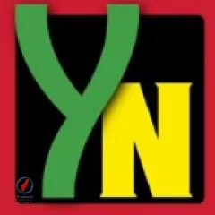 تحديث أسعار الذهب اليوم في مصر لعيار 21