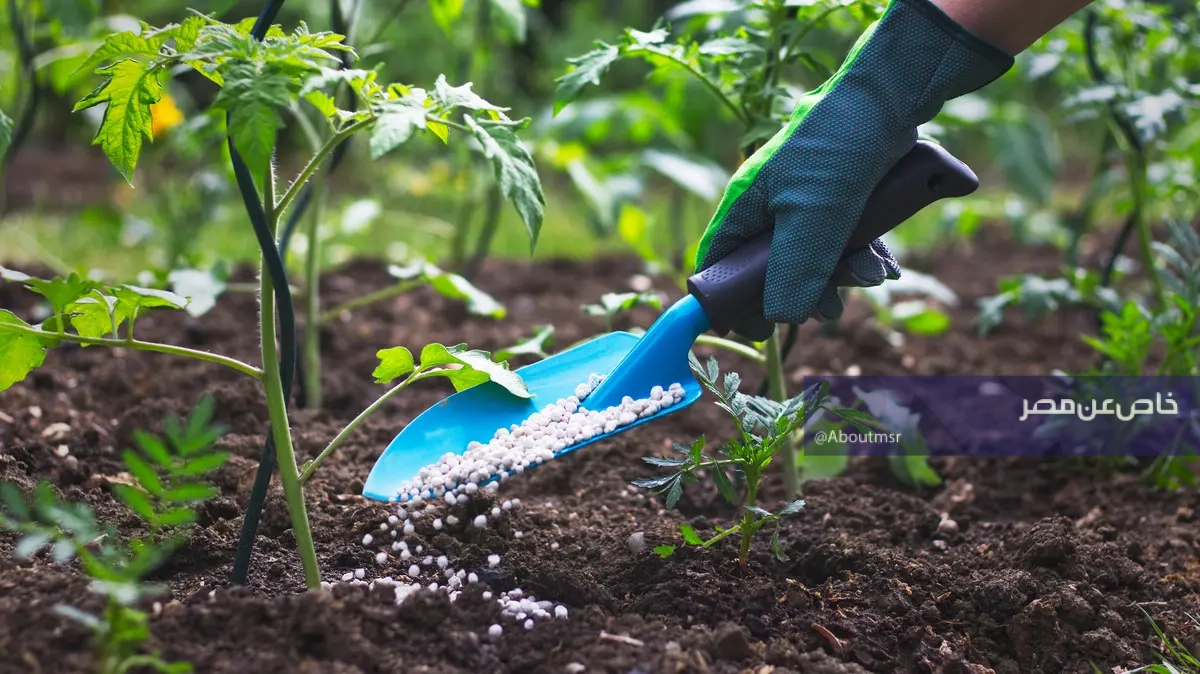 تحريك جديد في أسعار الأسمدة في مصر.. و”الزراعة” تكشف الأسباب