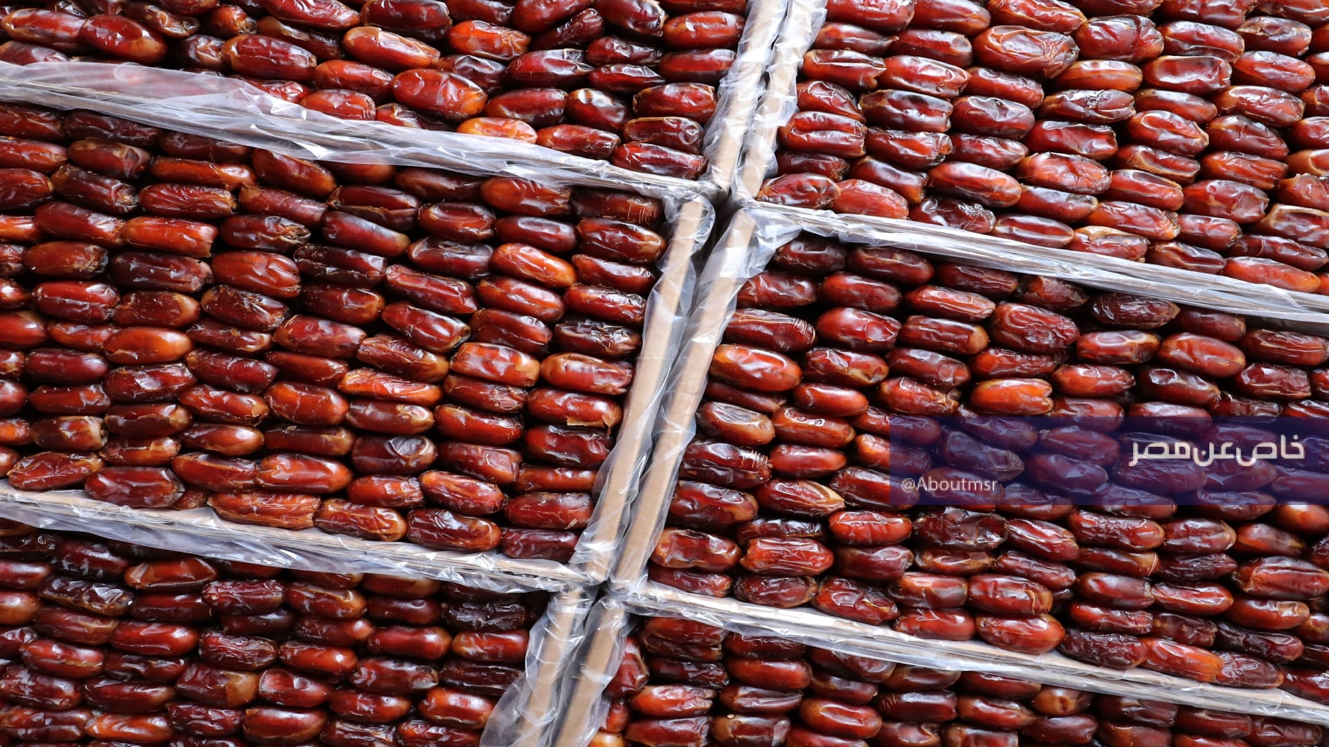 تمور أم الدهن.. أشهر الأصناف العراقية التي وجدت طريقها إلى مصر وهذا سبب التسمية