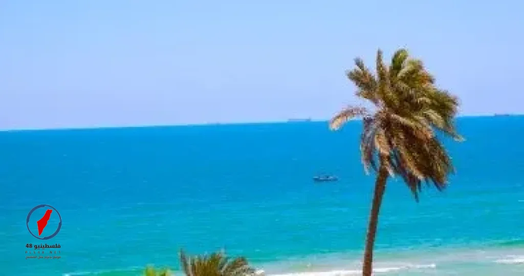 توقعات الطقس اليوم: حرارة نهارية وأمطار متفرقة