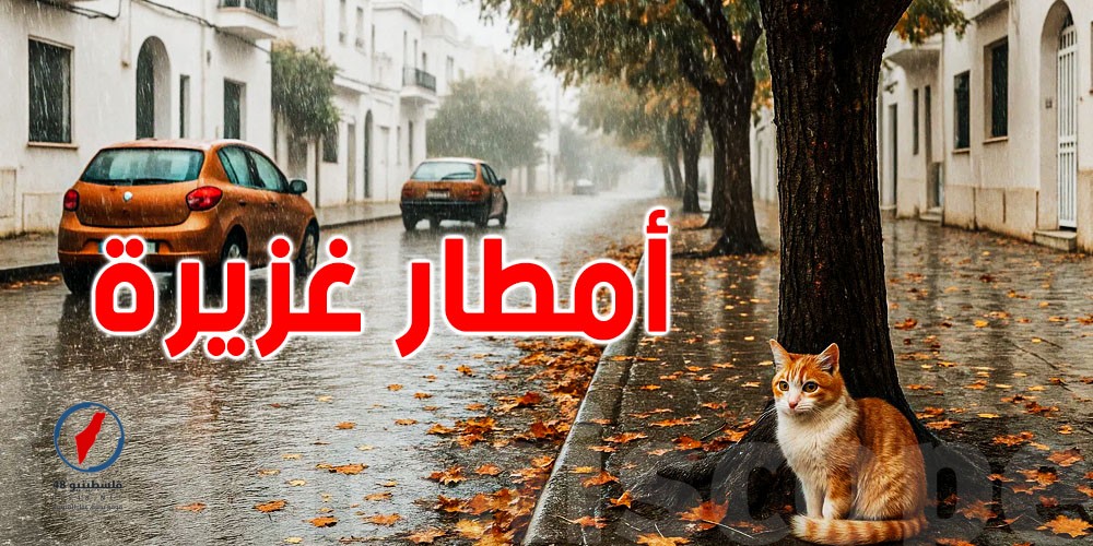 توقعات طقس الليلة: تعرف على حالة الطقس المتوقعة