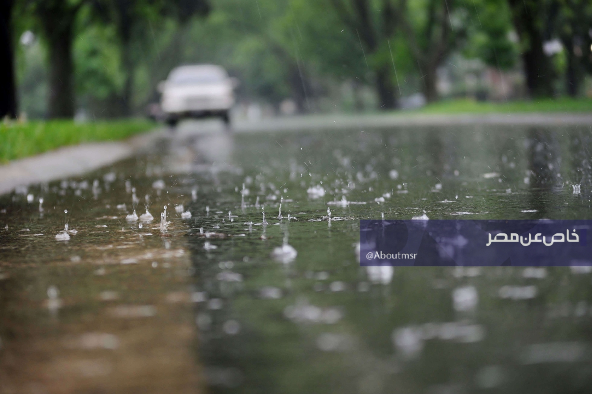 حالة الطقس ودرجات الحرارة في مصر غدًا الاثنين 30 مارس 2026.. هل تستمر الأمطار؟