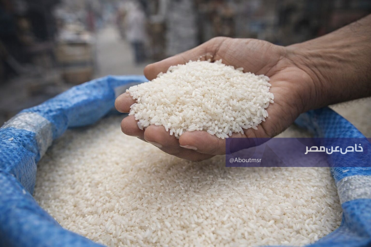 خريطة كيلو الأبيض والشعير بالأسواق الآن.. أسعار الأرز اليوم الإثنين 30 مارس 2026