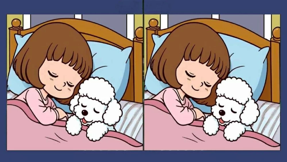 ركز جيداً.. 1 % فقط استطاعوا اكتشاف 3 اختلافات بين الصورتين خلال 30 ثانية فقط.. هل أنت منهم؟