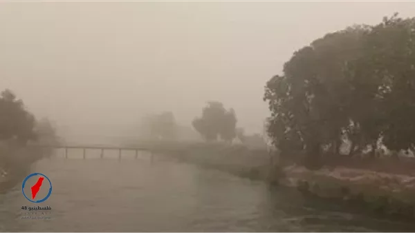 طقس اليوم دافئ نهاراً وبارد ليلاً مع نشاط رياح وأتربة حتى القاهرة الكبرى