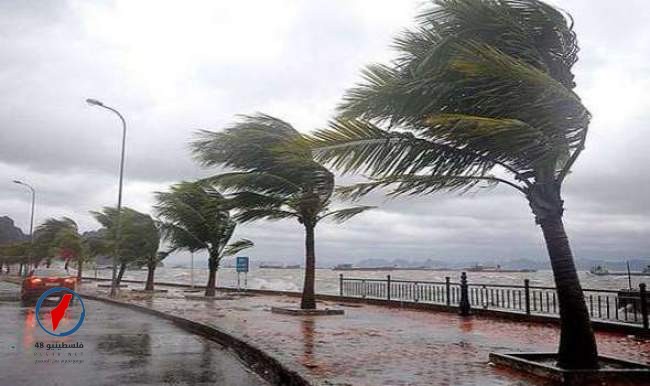 طقس بارد وهبات رياح قوية يومي الاثنين والثلاثاء بعدد من مناطق المملكة