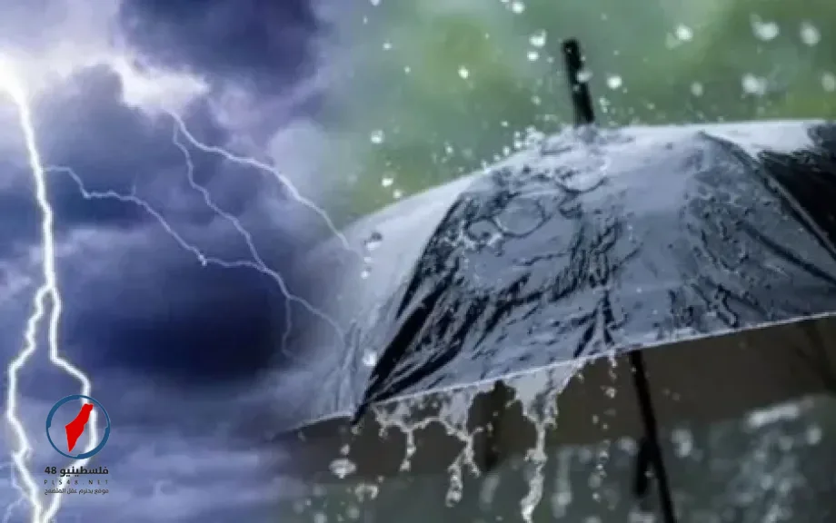 طقس مصر يشهد تحسنا تدريجيا مع اعتدال الأجواء وتحذيرات من الشبورة – فلسطينيو48