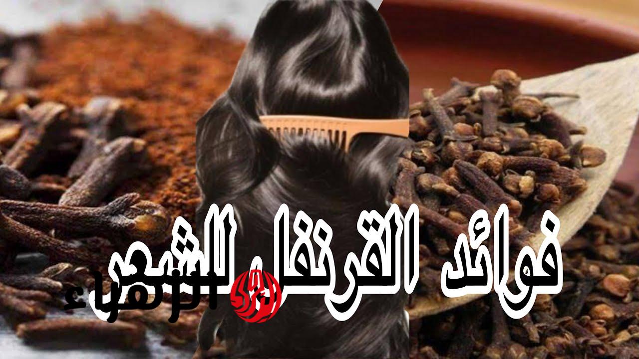فوائد القرنفل للشعر وطريقة استعماله الصحيحة لنتائج مذهلة في وقت قصير