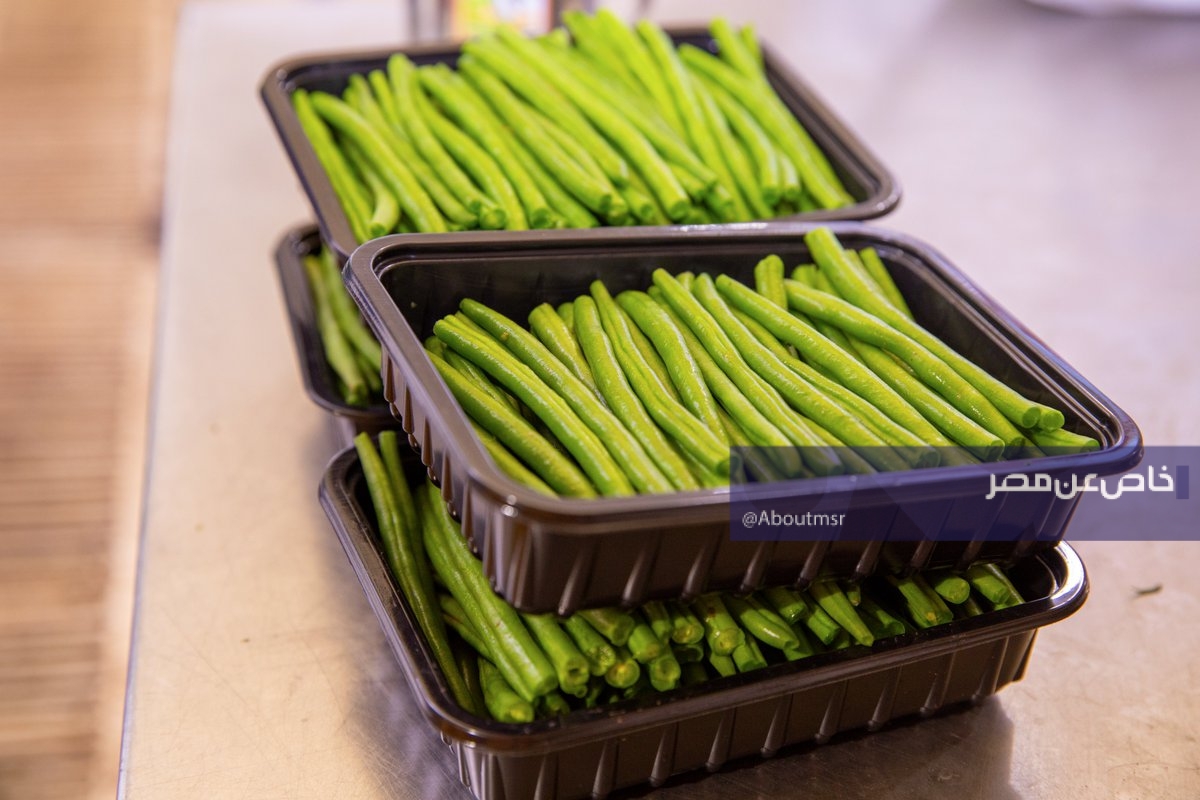 ليست مصر.. بلد عربي يضاعف صادراته من الفاصوليا إلى تلك الدولة الأوروبية