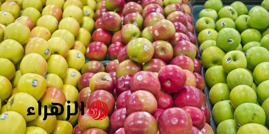ماذا يحدث لجسمك عند تناول التفاح يومياً؟.. نتائج مذهلة لدماغك وقلبك وتأثير الفركتوز
