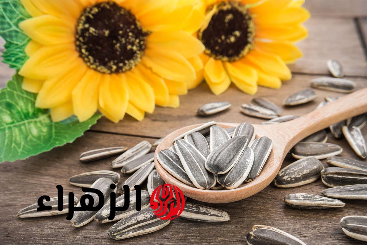 ماذا يحدث لجسمك عند تناول بذور دوار الشمس؟ نتائج مذهلة لقلبك وسكر الدم