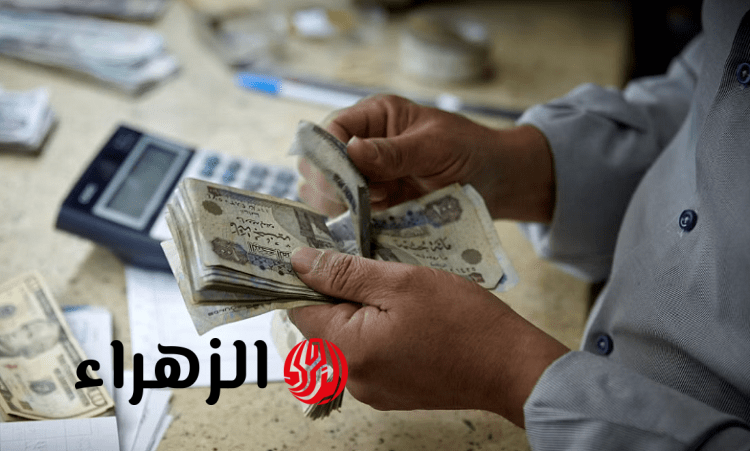 معاش شهري لربات البيوت 2026.. شروط التقديم والمبلغ المستحق