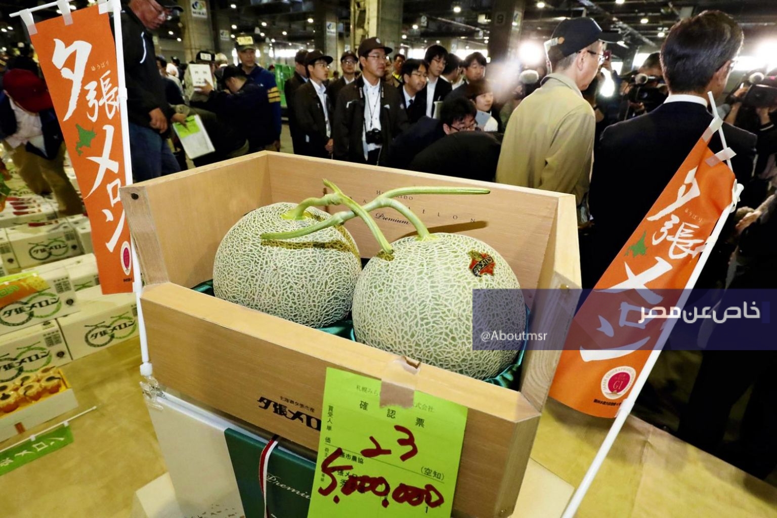 من أغلى الفاكهة في العالم.. هل تزرع السعودية شمام يوباري قريبًا؟