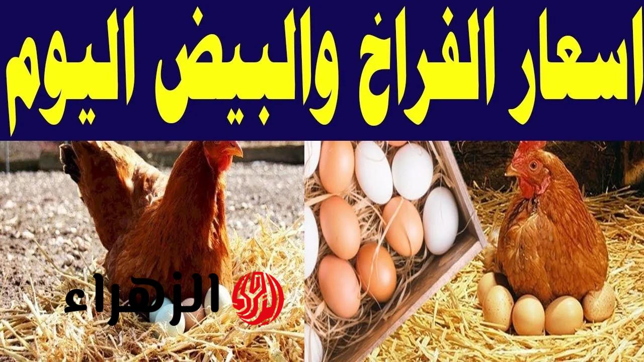 “نزلت جامد”.. هبوط كبير في أسعار الدواجن والبيض بعد هذا القرار | شوف وصلت كام