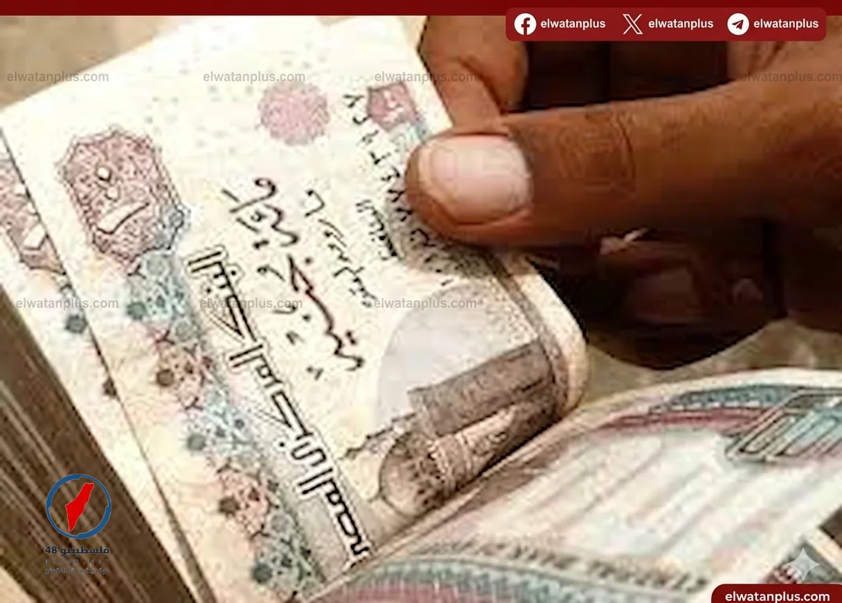 نقابة المعلمين تعلن صرف معاشات أبريل بقيمة 172.6 مليون جنيه بدءًا من الأول من الشهر