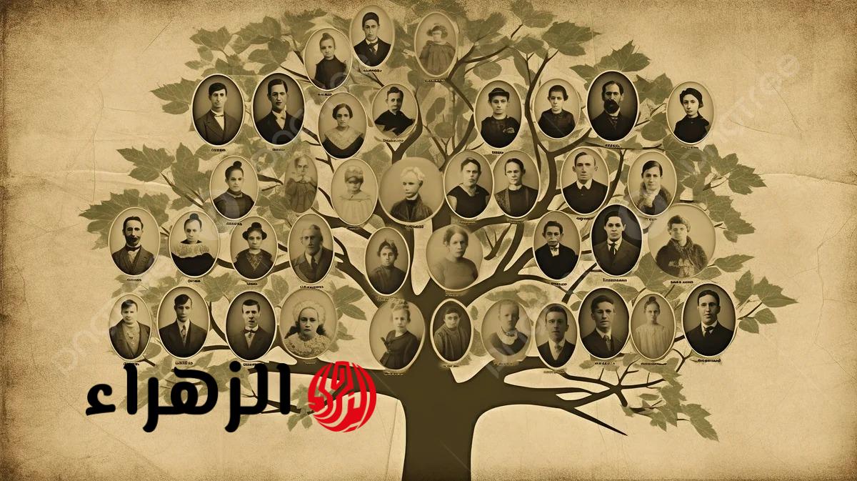 هتشوف جدك الكبير.. أسهل طريقة لمعرفة شجرة العائلة كلها في دقيقة | جربها بسرعة