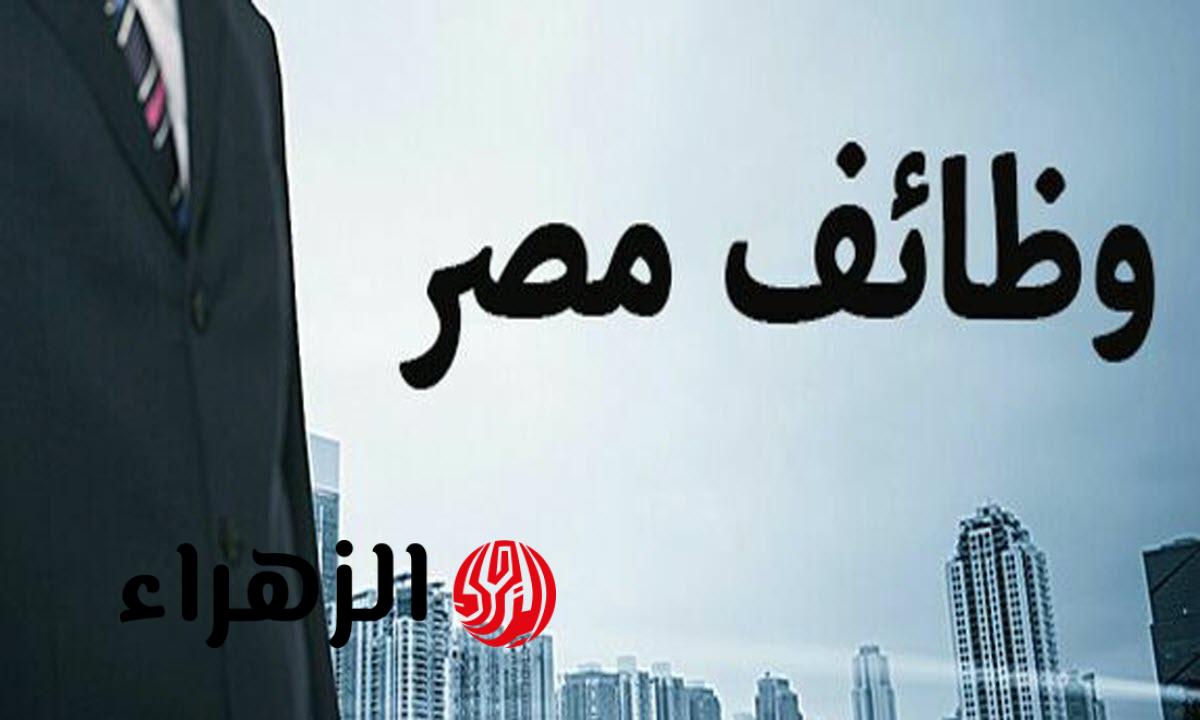 وزارة العمل تعلن وظائف خالية برواتب تصل إلى 12 ألف جنيه وتحدد الشروط ورابط التقديم