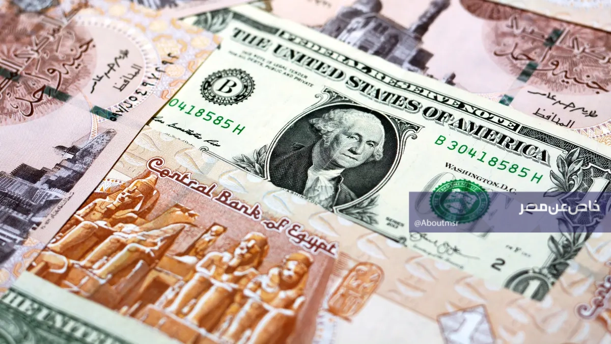 يقترب من 53 جنيهًا.. سعر الدولار اليوم أمام الجنيه المصري في البنوك